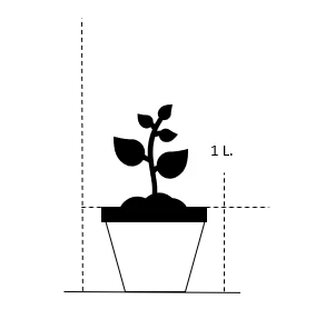 Kinesisk Sankthansurt Sedum Spectabilie 'Star Dust' 1 liter potte Kinesisk Sankthansurt Sedum Spectabilie 'Star Dust' 1 Liter Potte -Plantetorvet Butik 25 1 liter potte c4a2 335