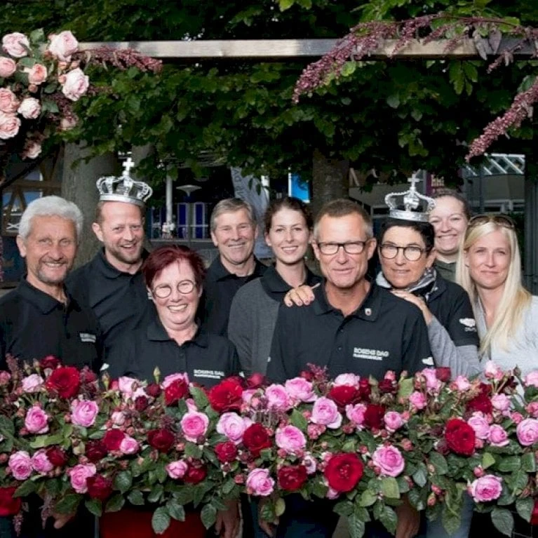 'Friheden'™ Rosa X 'Friheden'™ (Buketrose) A-Kvalitet,- barrods roser min. 3 grene 'Friheden'™ Rosa X 'Friheden'™ (Buketrose) A-Kvalitet,- Barrods Roser Min. 3 Grene -Plantetorvet Butik p19464 51281 rosa x friheden buketrose a785