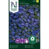 Kantlobelie 'Crystal Palace' Lobelia Erinus 'Crystal Palace' Pose Med Frø Eller Løg, 15 -Plantetorvet Butik p20529 34837 lobelia erinus crystal palace 1c26