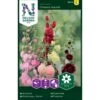 Stokrose 'Chaters Double' Alcea Rosea L. 'Chaters Double' Pose Med Frø Eller Løg, 25 -Plantetorvet Butik p20627 34843 alcea rosea l chaters double f37c