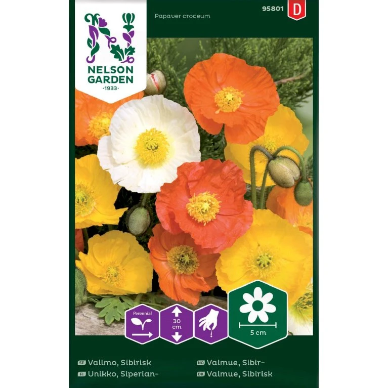 Sibirisk Valmue Mix Papaver Croceum Pose med frø eller løg, 25 Sibirisk Valmue Mix Papaver Croceum Pose Med Frø Eller Løg, 25 -Plantetorvet Butik p20661 34840 papaver croceum 864e