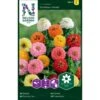 Frøkenhat 'Sunbow Mixed' Zinnia Elegans 'Sunbow Mixed' Pose Med Frø Eller Løg -Plantetorvet Butik p20676 34839 zinnia elegans sunbow mixed 64f2