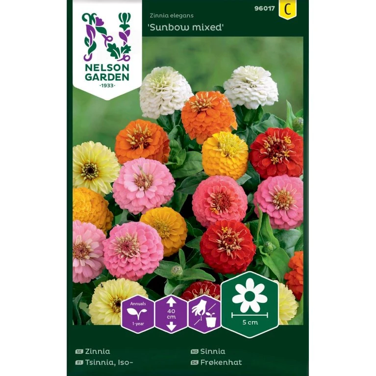 Frøkenhat 'Sunbow Mixed' Zinnia Elegans 'Sunbow Mixed' Pose med frø eller løg Frøkenhat 'Sunbow Mixed' Zinnia Elegans 'Sunbow Mixed' Pose Med Frø Eller Løg -Plantetorvet Butik p20676 34839 zinnia elegans sunbow mixed 64f2