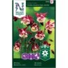 Akeleje 'Winky Double Red-White' Aquilegia Vulgaris 'Winky Double Red-White' 1 Akeleje 'Winky Double Red-White' Aquilegia Vulgaris 'Winky Double Red-White' -Plantetorvet Butik p33839 37199 aquilegia vulgaris winky double red white 4b24