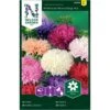 Sommerasters 'American Branching' Mix Callistephus Chinensis 'American Branching' Mix -Plantetorvet Butik p33840 37200 callistephus chinensis american branching mix c811
