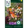 Honningblomster Mix Nelson Mixture 1 Honningblomster Mix Nelson Mixture -Plantetorvet Butik p33851 37207 nelson mixture 45e8