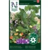 Slyngplanter Mix Nelson Mixture 2 Slyngplanter Mix Nelson Mixture -Plantetorvet Butik p33852 37208 nelson mixture 6de8
