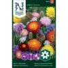 Evighedsblomster Mix Nelson Mixture -Plantetorvet Butik p33854 37210 nelson mixture 30f6