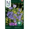 Smalbladet Klokkeblomst Campanula Persicifolia L. 2 Smalbladet Klokkeblomst Campanula Persicifolia L. -Plantetorvet Butik p33870 37224 campanula persicifolia l b6dc