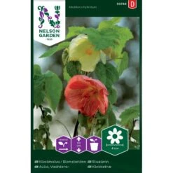 Klokketræ Mix Abutilon X Hybridum