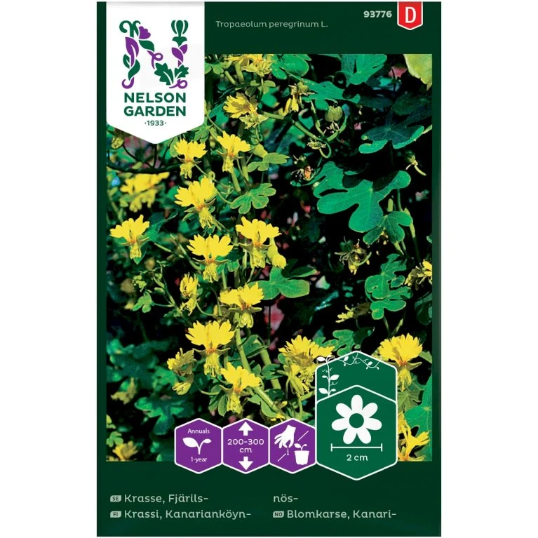Sommerfugleblomsterkarse Tropaeolum Peregrinum L. Sommerfugleblomsterkarse Tropaeolum Peregrinum L. -Plantetorvet Butik p33894 37244 tropaeolum peregrinum l 16cd