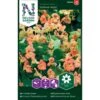 Buskblomsterkarse 'Salmon Baby' Tropaeolum Majus 'Salmon Baby' 2 Buskblomsterkarse 'Salmon Baby' Tropaeolum Majus 'Salmon Baby' -Plantetorvet Butik p33905 37253 tropaeolum majus salmon baby fc91
