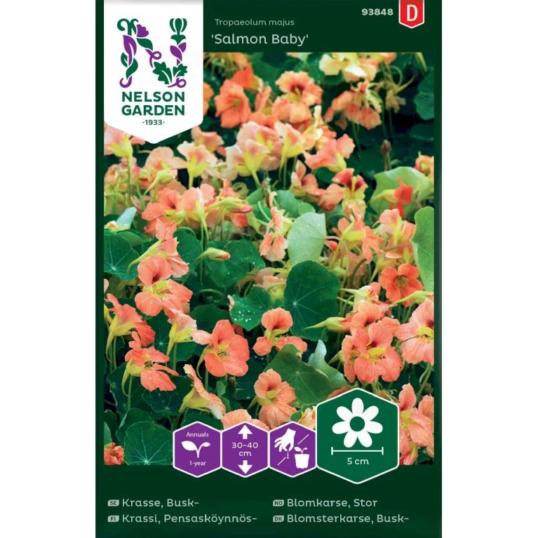 Buskblomsterkarse 'Salmon Baby' Tropaeolum Majus 'Salmon Baby' Buskblomsterkarse 'Salmon Baby' Tropaeolum Majus 'Salmon Baby' -Plantetorvet Butik p33905 37253 tropaeolum majus salmon baby fc91
