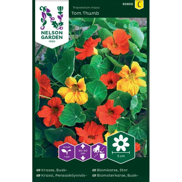 Buskblomsterkarse 'Tom Thumb' Tropaeolum Majus 'Tom Thumb' Buskblomsterkarse 'Tom Thumb' Tropaeolum Majus 'Tom Thumb' -Plantetorvet Butik p33906 37254 tropaeolum majus tom thumb b1a0