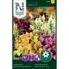 Lav Løvemund 'Cheerio' F2 Mix Antirrhinum Majus 'Cheerio' F2 2 Lav Løvemund 'Cheerio' F2 Mix Antirrhinum Majus 'Cheerio' F2 -Plantetorvet Butik p33911 37258 antirrhinum majus cheerio f2 0469