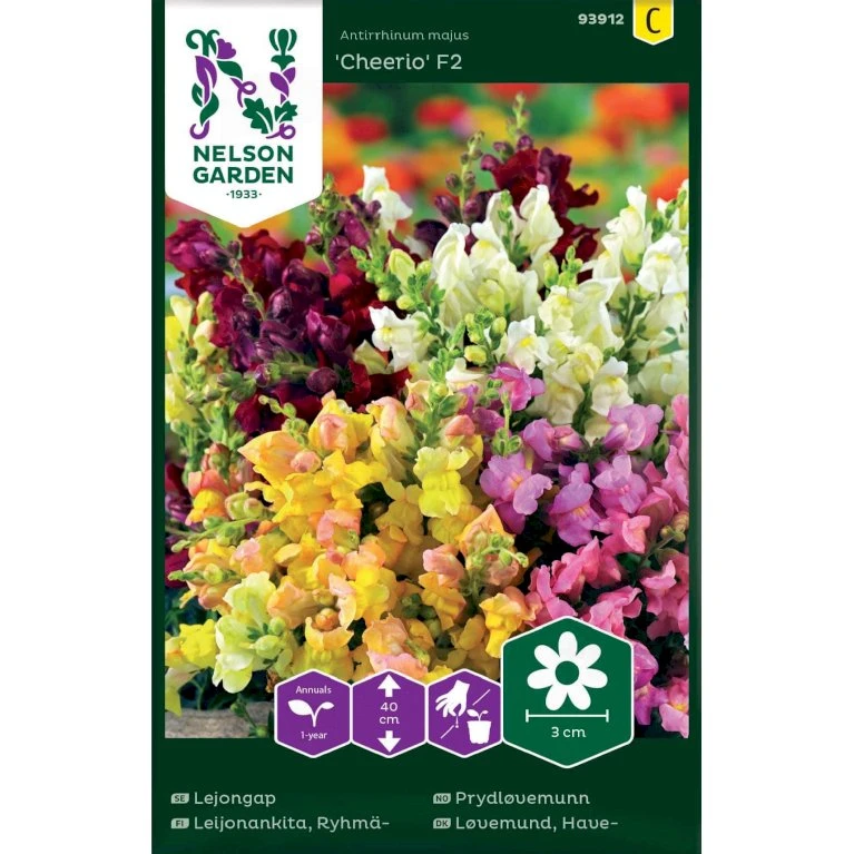 Lav Løvemund 'Cheerio' F2 Mix Antirrhinum Majus 'Cheerio' F2 Lav Løvemund 'Cheerio' F2 Mix Antirrhinum Majus 'Cheerio' F2 -Plantetorvet Butik p33911 37258 antirrhinum majus cheerio f2 0469