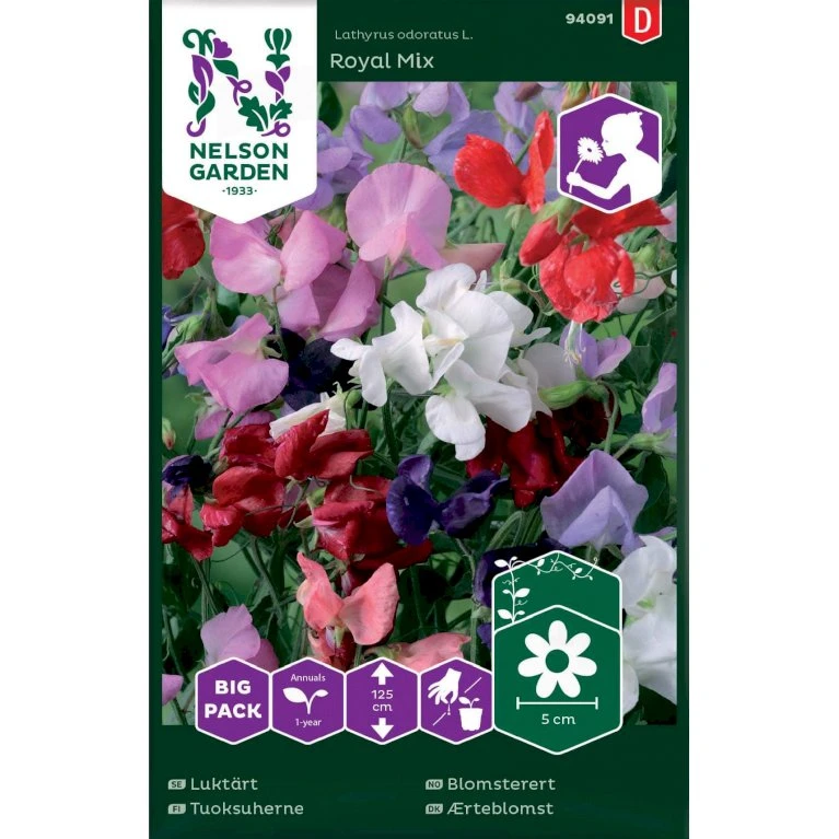 Ærteblomst 'Royal Mix' Big Pack Lathyrus Odoratus L. 'Royal' Mix Ærteblomst 'Royal Mix' Big Pack Lathyrus Odoratus L. 'Royal' Mix -Plantetorvet Butik p33927 37273 lathyrus odoratus l royal mix 67f2