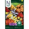 Sommerfugleblomst 'Carnival' Mix Nemesia Strumosa 'Carnival' Mix 1 Sommerfugleblomst 'Carnival' Mix Nemesia Strumosa 'Carnival' Mix -Plantetorvet Butik p33938 37282 nemesia strumosa carnival mixed cd26