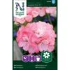 Pelargonie 'Inspire Pink' F1 Pelargonium X Hortorum 'Inspire Pink' F1 2 Pelargonie 'Inspire Pink' F1 Pelargonium X Hortorum 'Inspire Pink' F1 -Plantetorvet Butik p33940 37284 pelargonium x hortorum inspire pink f1 ff64