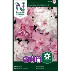 Petunia Dobbelt 'Cascade Orchid Mist' F1 Petunia Hybrida 'Cascade Orchid Mist' F1