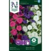 Minipetunia 'Picobella' F1 Mix Petunia Hybrida 'Picobella' F1 2 Minipetunia 'Picobella' F1 Mix Petunia Hybrida 'Picobella' F1 -Plantetorvet Butik p33948 34878 petunia hybrida picobella f1 a357
