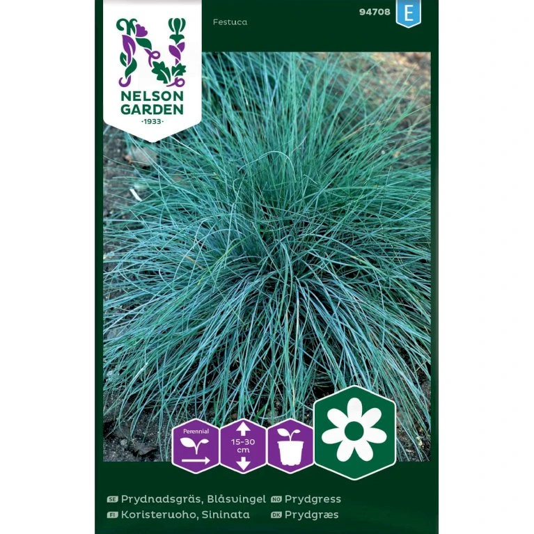 Blåsvingel Festuca Blåsvingel Festuca -Plantetorvet Butik p33957 37296 festuca 0b06