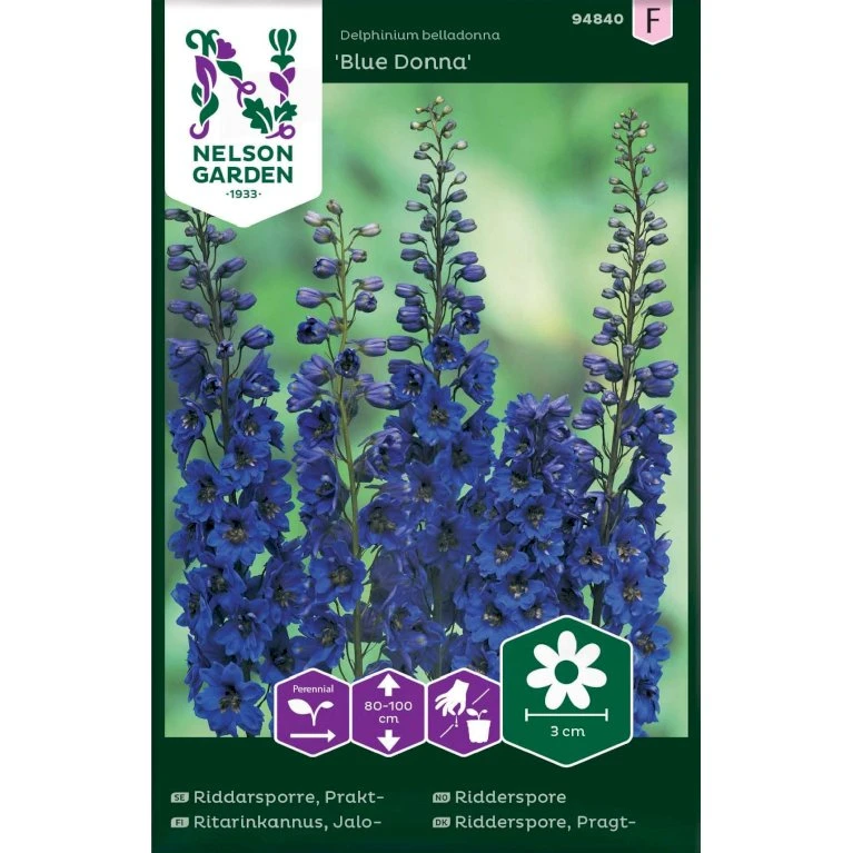 Pragtridderspore 'Blue Donna' Delphinium Belladonna 'Blue Donna' Pragtridderspore 'Blue Donna' Delphinium Belladonna 'Blue Donna' -Plantetorvet Butik p33967 37305 delphinium belladonna blue donna 4b91