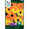 Lav Morgenfrue 'Daisy Citrus' Mix Calendula Officinalis 'Daisy Citrus' Mix 1 Lav Morgenfrue 'Daisy Citrus' Mix Calendula Officinalis 'Daisy Citrus' Mix -Plantetorvet Butik p33972 37310 calendula officinalis daisy citrus mix cc29