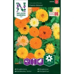 Lav Morgenfrue 'Fiesta Gitana' Calendula Officinalis 'Fiesta Gitana'