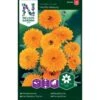 Morgenfrue 'Pacific Beauty' Calendula Officinalis 'Pacific Beauty' -Plantetorvet Butik p33976 37313 calendula officinalis pacific beauty f746