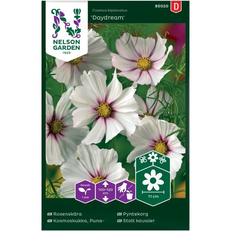 Stolt Kavaler 'Daydream' Cosmos Bipinnatus 'Daydream' Stolt Kavaler 'Daydream' Cosmos Bipinnatus 'Daydream' -Plantetorvet Butik p33984 37321 cosmos bipinnatus daydream 9ab6
