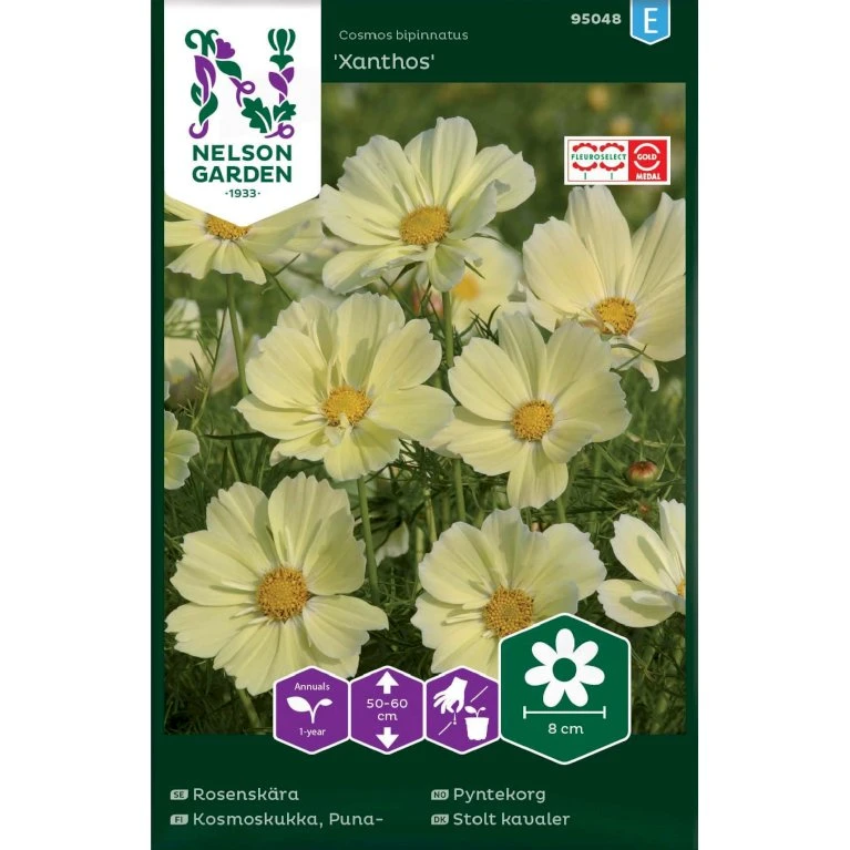 Stolt Kavaler 'Xanthos' Cosmos Bipinnatus 'Xanthos' Stolt Kavaler 'Xanthos' Cosmos Bipinnatus 'Xanthos' -Plantetorvet Butik p33989 37326 cosmos bipinnatus xanthos d04b