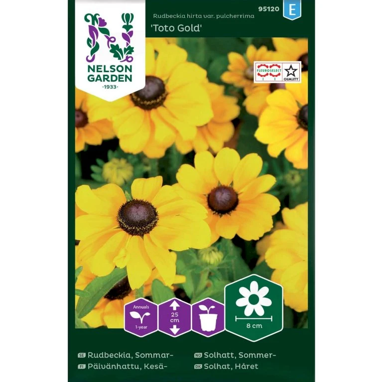 Lav Håret Solhat 'Toto Gold' Rudbeckia Hirta Var. Pulcherrima 'Toto Gold' Lav Håret Solhat 'Toto Gold' Rudbeckia Hirta Var. Pulcherrima 'Toto Gold' -Plantetorvet Butik p33996 37332 rudbeckia hirta var pulcherrima toto gold 6875