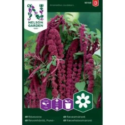 Rød Rævehaleamarant Amaranthus Caudatus L.