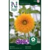 Solsikke 'Double Sunking' Helianthus Annuus 'Double Sunking' -Plantetorvet Butik p34012 37344 helianthus annuus double sunking 72d6