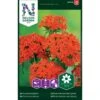 Rød Brændende Kærlighed Lychnis Chalcedonica L. -Plantetorvet Butik p34024 37354 lychnis chalcedonica l bfe0