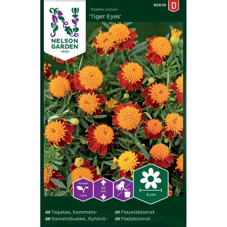 Fløjlsblomst 'Tiger Eyes' Tagetes Patula 'Tiger Eyes' Fløjlsblomst 'Tiger Eyes' Tagetes Patula 'Tiger Eyes' -Plantetorvet Butik p34035 37364 tagetes patula tiger eyes 376e