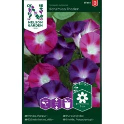 Purpurpragtsnerle 'Bohemian Shades' Ipomoea Purpurea 'Bohemian Shades'