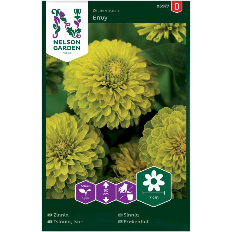 Frøkenhat 'Envy' Zinnia Elegans 'Envy' Frøkenhat 'Envy' Zinnia Elegans 'Envy' -Plantetorvet Butik p34062 37383 zinnia elegans envy 4a47