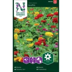 Frøkenhat 'Graffiti' Zinnia Elegans 'Graffiti'