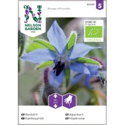 Hjulkrone Øko Borago Officinalis Frøpose, Antal Pr. Pakke, Ca. 20 Stk.