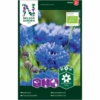 Høj Kornblomst Øko Centaurea Cyanus 2 Høj Kornblomst Øko Centaurea Cyanus -Plantetorvet Butik p34776 34757 centaurea cyanus 1390