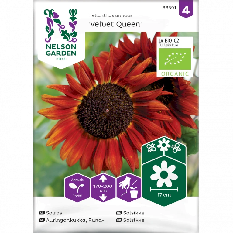 Solsikke 'Velvet Queen' Øko Helianthus Annuus 'Velvet Queen' Frøpose, Antal pr. pakke, Ca. 20 stk. Solsikke 'Velvet Queen' Øko Helianthus Annuus 'Velvet Queen' Frøpose, Antal Pr. Pakke, Ca. 20 Stk. -Plantetorvet Butik p34784 34765 helianthus annuus velvet queen c4a9