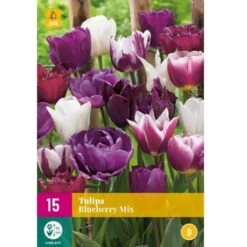Tulipan 'Blueberry' Mix XXL Tulips 'Blueberry' Mix Blomsterløg, Antal Pr. Pakke, Ca. 15 Stk.