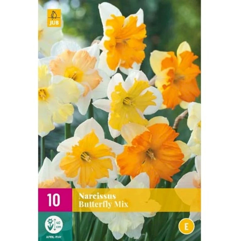 Påskelilje 'Butterfly' Mix XXL Narcissus 'Butterfly' Mix Blomsterløg, Antal pr. pakke, Ca. 10 stk. Påskelilje 'Butterfly' Mix XXL Narcissus 'Butterfly' Mix Blomsterløg, Antal Pr. Pakke, Ca. 10 Stk. -Plantetorvet Butik p36249 49781 narcissus butterfly mix 8420