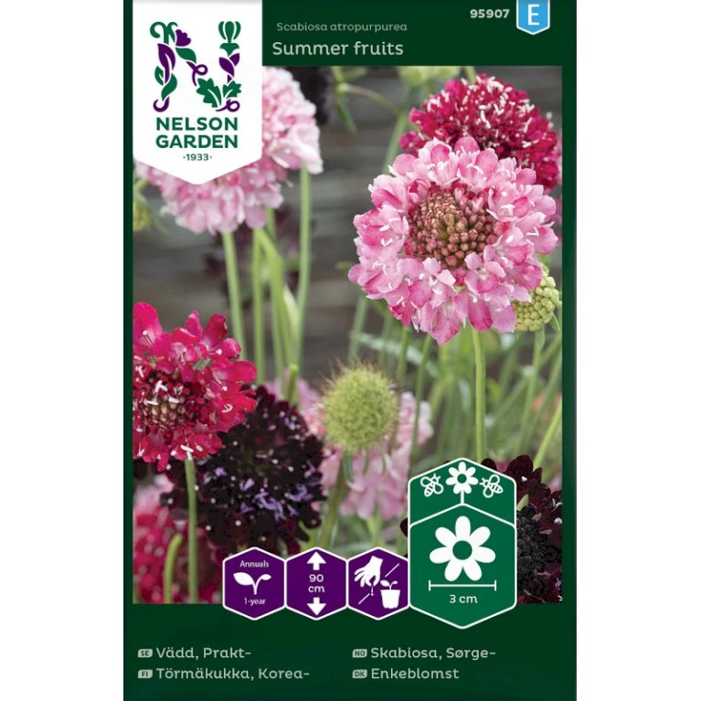 Enkeblomst 'Summer Fruits' Scabiosa Atropurpurea 'Summer Fruits' Enkeblomst 'Summer Fruits' Scabiosa Atropurpurea 'Summer Fruits' -Plantetorvet Butik p36934 43165 image 8259
