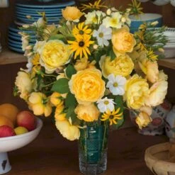 'Charles Darwin'™ Rosa X 'Charles Darwin'™ (Engelsk Rose) A-Kvalitet,- Barrods Roser Min. 3 Grene -Plantetorvet Butik p5351 52959 rosa x charles darwin engelsk rose b2dc